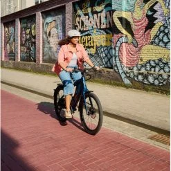 Vélo électrique STROMER ST1 - 2022 - Deep Petrol - Sport - L - 618Wh - KINEKT - SUNTOUR -Antivol Vélo Soldes velo electrique stromer st1 2022 deep petrol sport l 618wh kinekt suntour 3